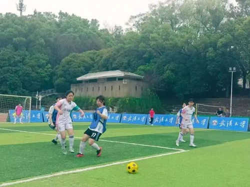 CBA新消息：新疆两手准备，港媒夸姚明是神级人物，山东预定黑马
