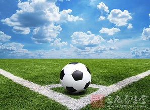 皇家西班牙人足球俱乐部济南学院成立