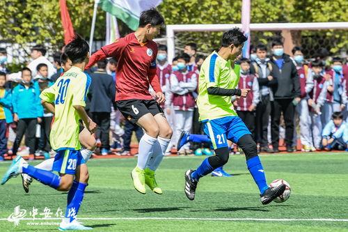 高速男篮新帅邱彪到位 低调开启山东执教生涯